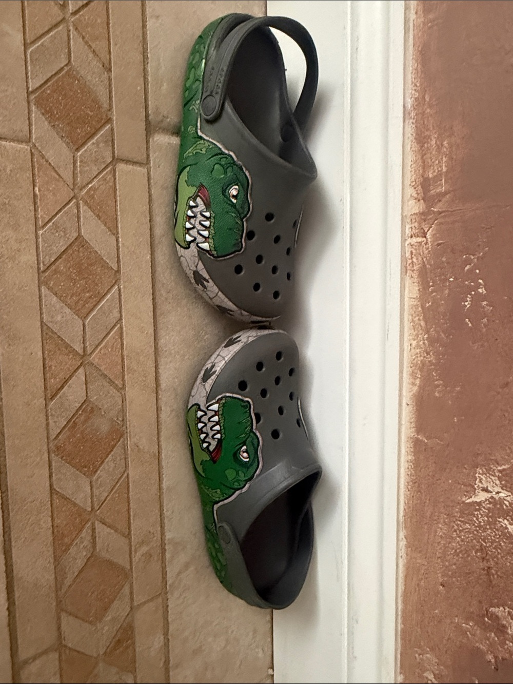 Reptile CROCS with lights